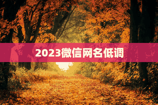 2023微信网名低调